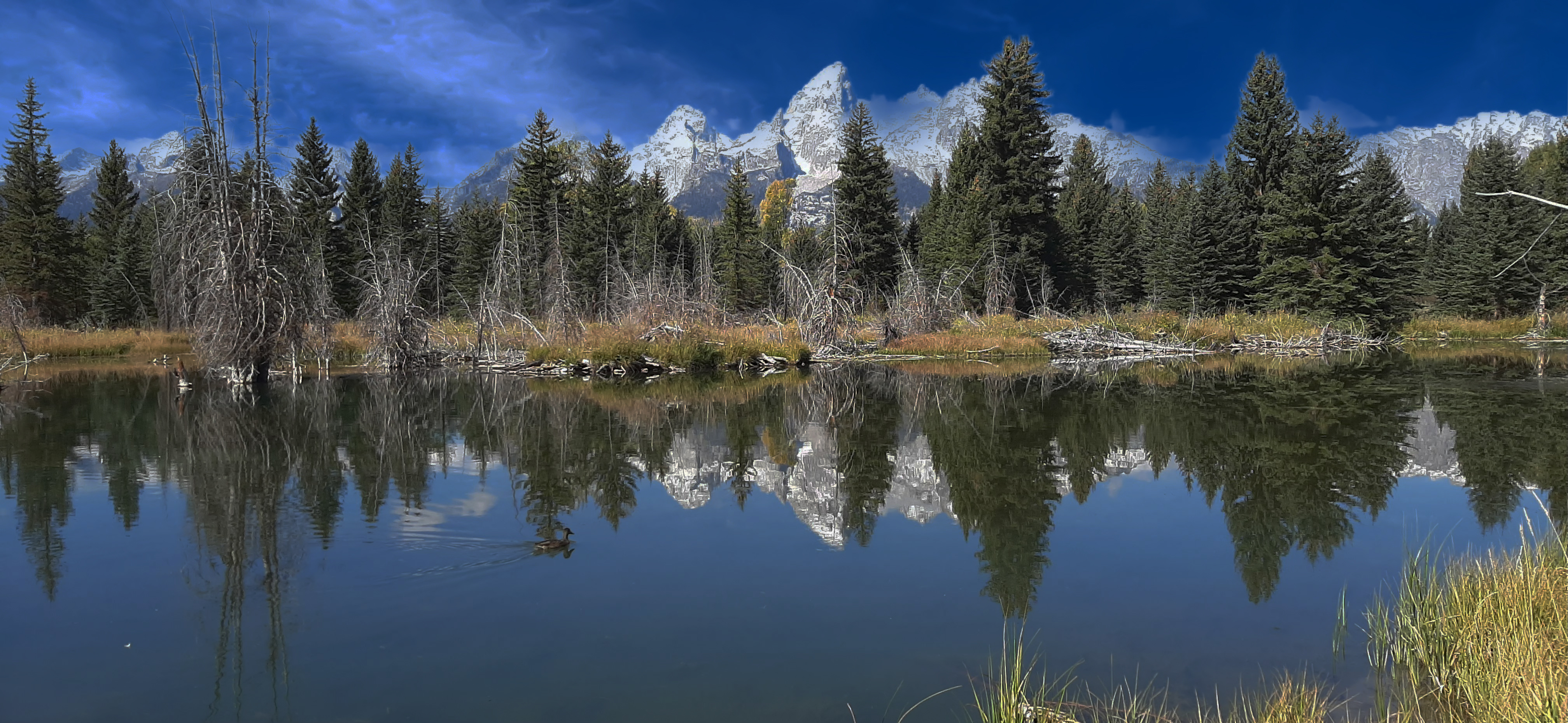 Grand Teton National Park