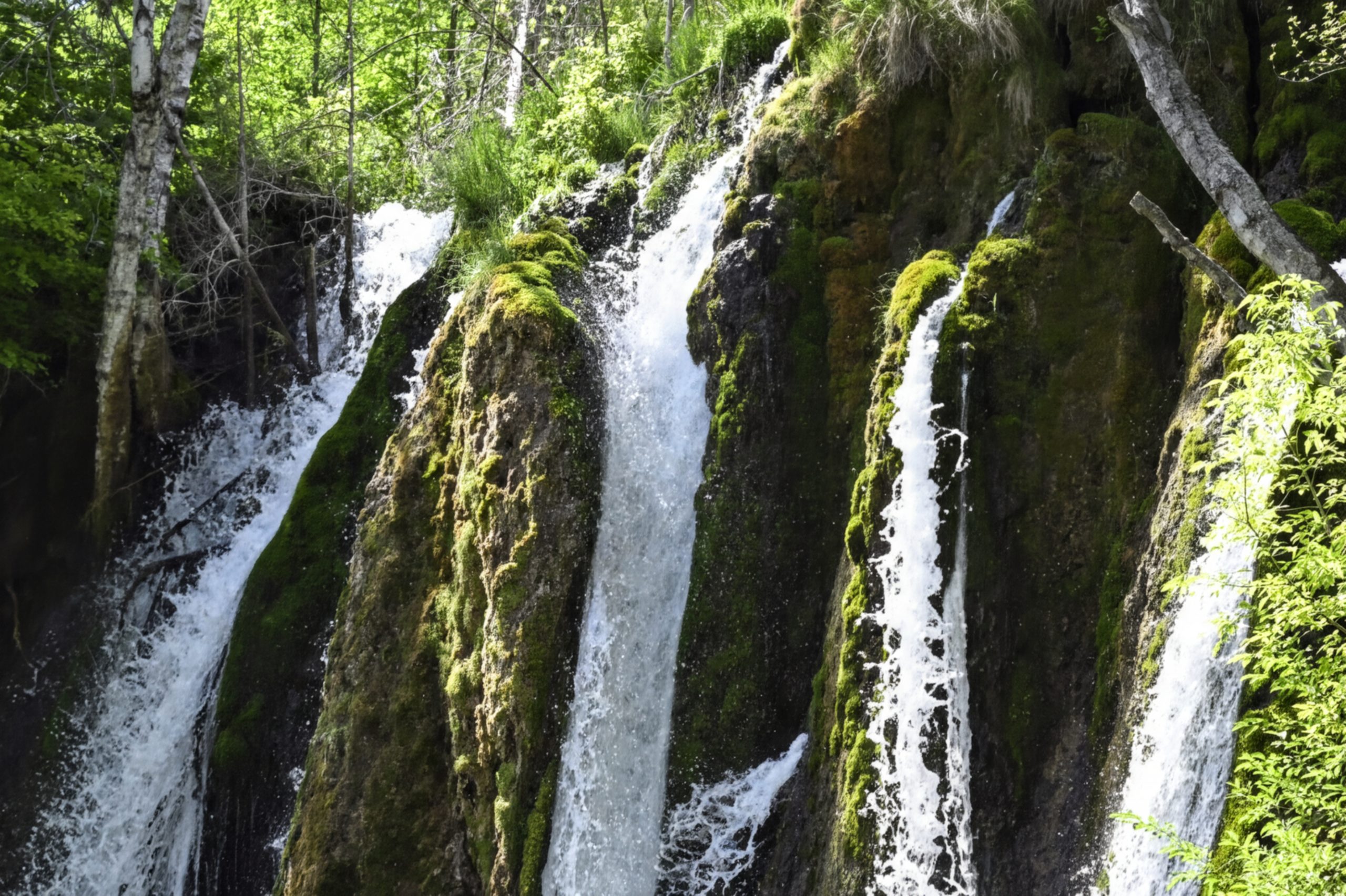 Speafish Falls